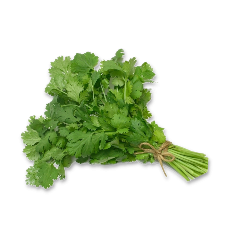Coriander