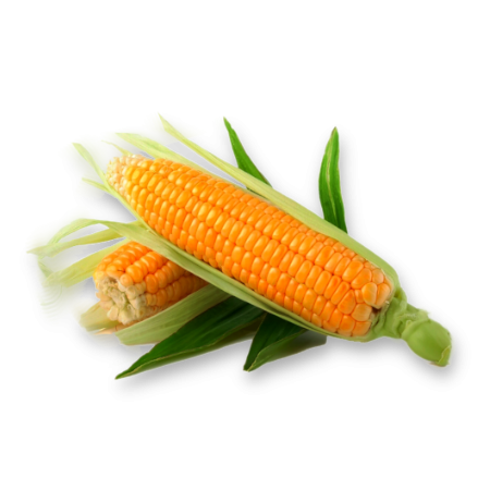 Corn